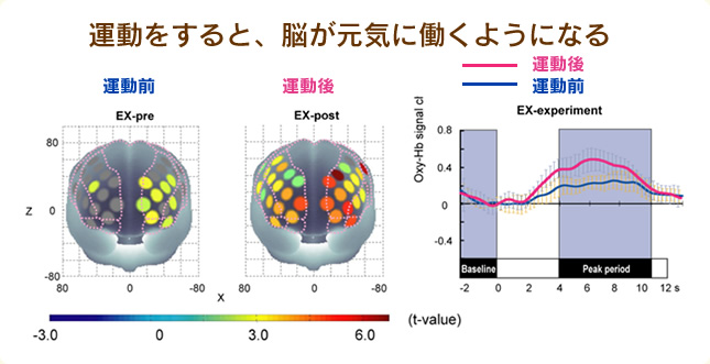 柳沢運動プログラム