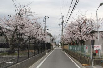 預かり保育開始