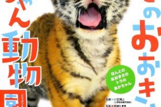 読みきかせだより（年中・年長）　１３