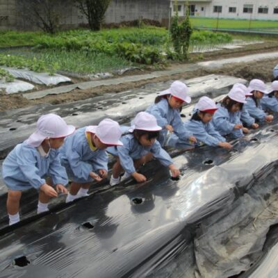 えんどう豆種まき（年少・年中）