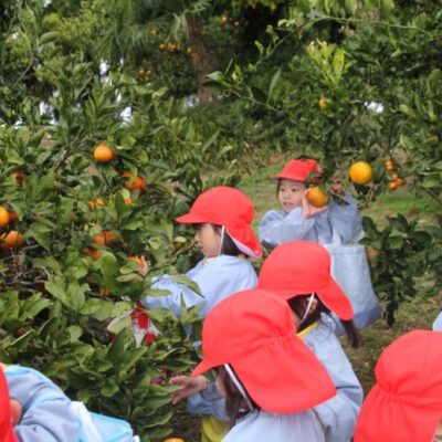 園外保育（年少）