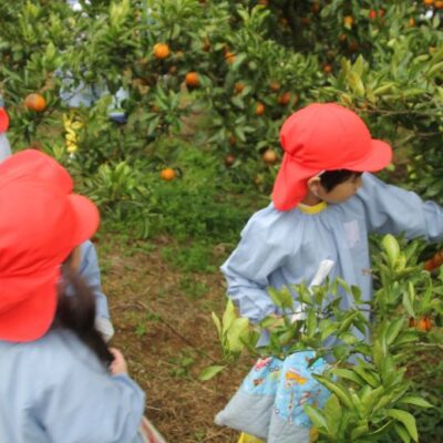 園外保育（年中）