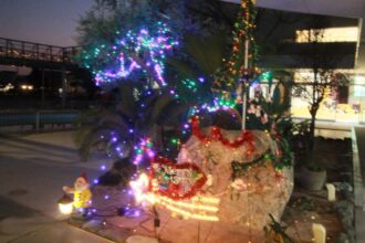 イルミネーション点灯