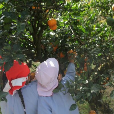 園外保育（年長）