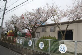 満開の桜の下で